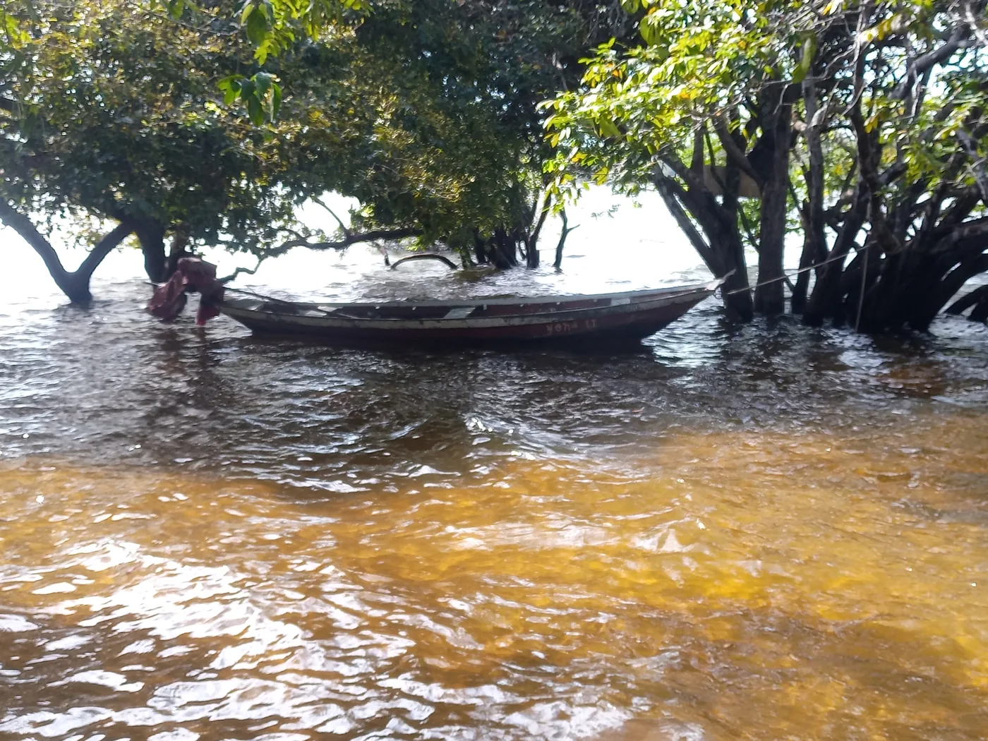 Canoa entre árboles en aguas de la Amazonía brasileña