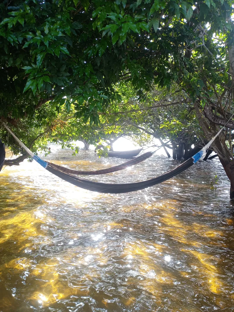Hamacas suspendidas entre árboles sobre agua en la Amazonía brasileña